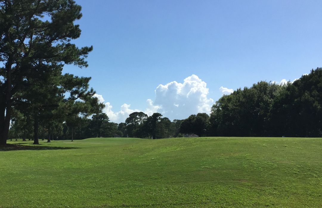 Belvedere Plantation Homes for Sale in Hampstead, NC Cameron Team