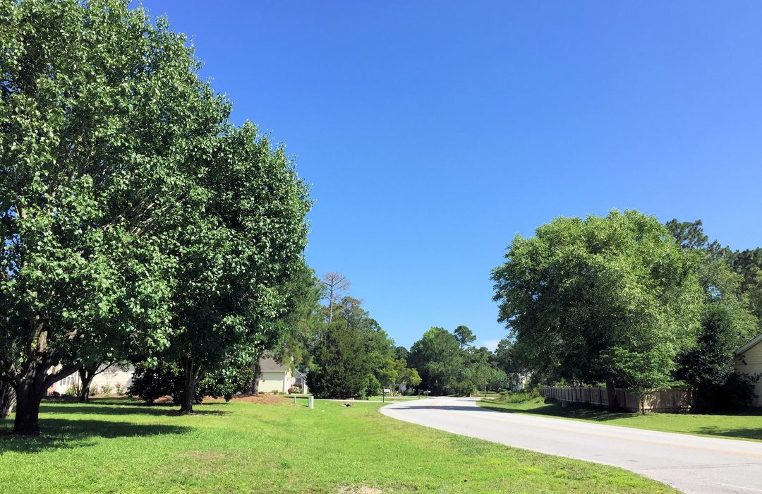 Belvedere Plantation Homes for Sale in Hampstead, NC Cameron Team