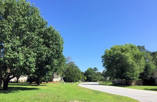 Belvedere Plantation - Streetscape