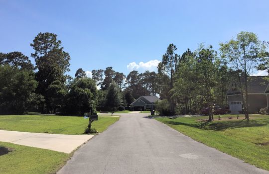 Belvedere Plantation - Streetscape