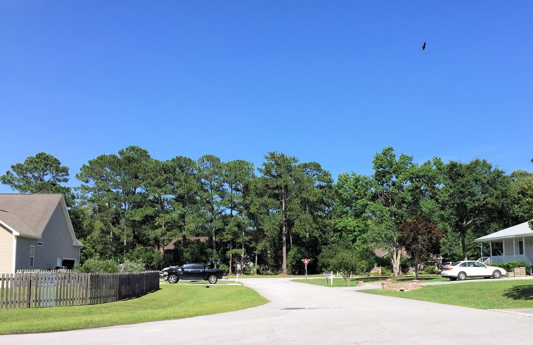 Belvedere Plantation Homes for Sale in Hampstead, NC Cameron Team