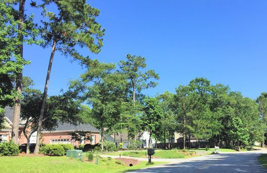 Belvedere Plantation - Streetscape