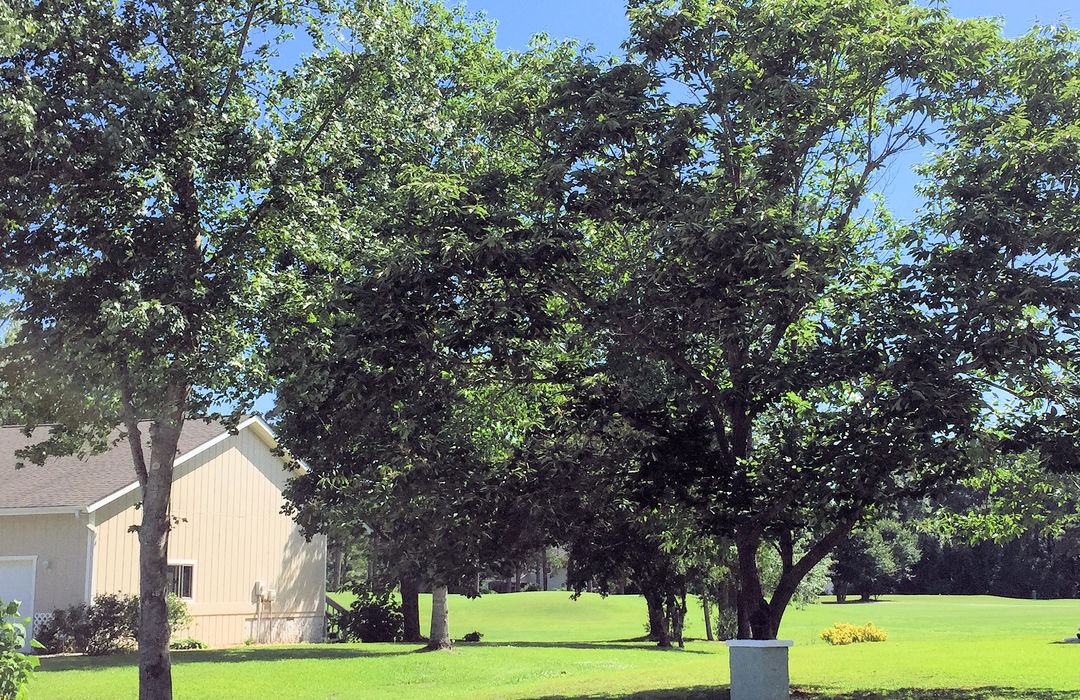 Belvedere Plantation Homes for Sale in Hampstead, NC Cameron Team