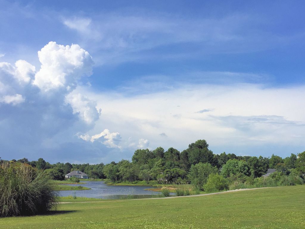 Belvedere Plantation Water View The Cameron Team