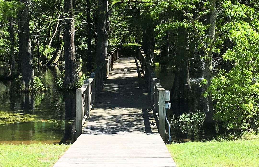 Eagle's Watch Homes for Sale in Hampstead, NC The Cameron Team