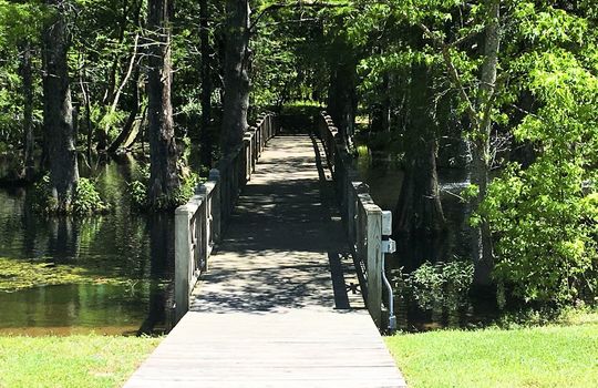 Eagle's Watch - Walking Trail