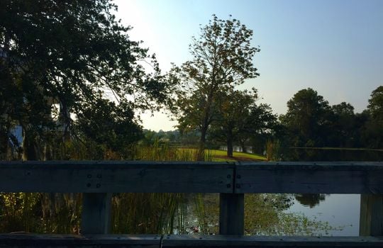 Landfall - Intracoastal Waterway View