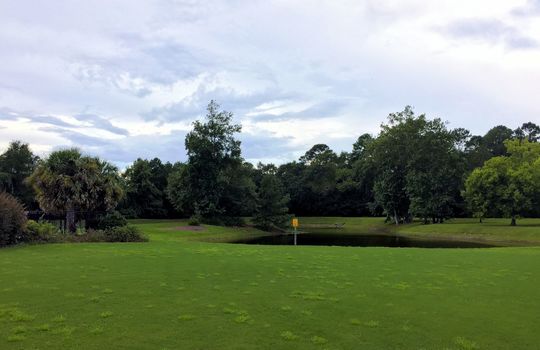 Plantation Landing - Pond