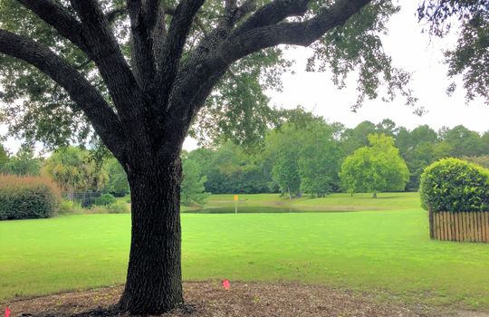 Plantation Landing - Pond