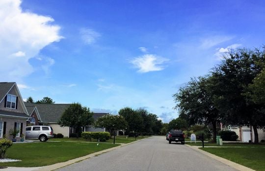 Plantation Landing - Streetscape