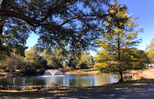 Coastal Plantation - Pond
