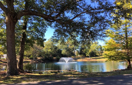Coastal Plantation - Pond