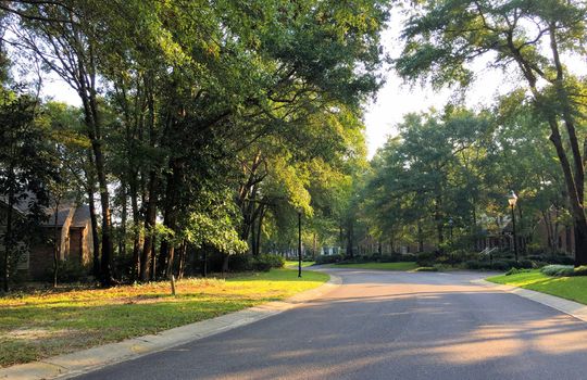 Landfall - Streetscape