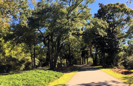 Coastal Plantation - Streetscape