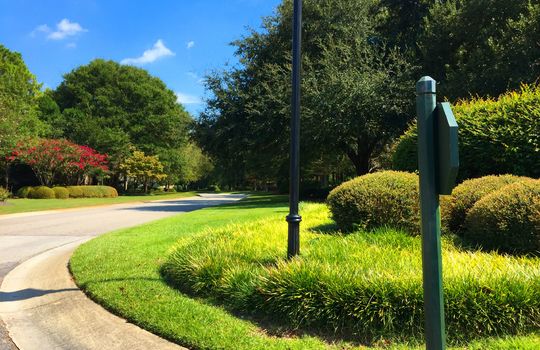 Landfall - Streetscape