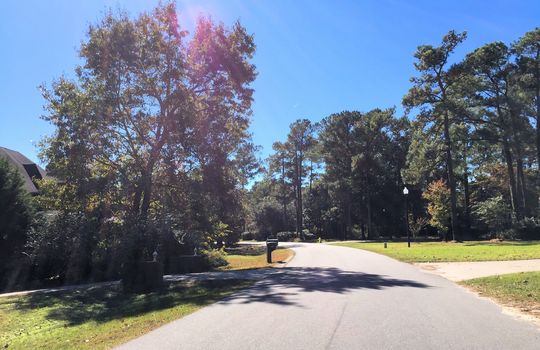 Olde Point - Streetscape