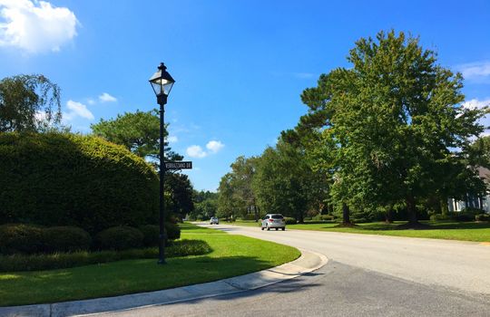 Landfall - Streetscape