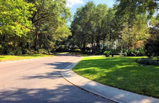 Landfall - Streetscape