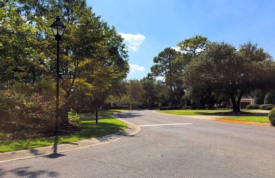 Landfall - Streetscape