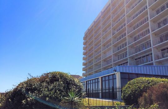 Pelican Watch - Back View