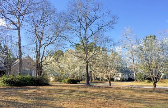 Bayshore Estates - Dogwood Trees