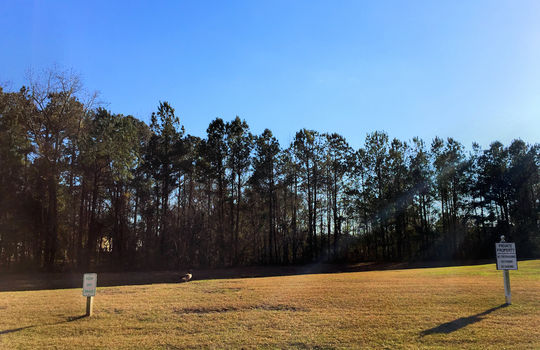 Bayshore Estates - Goose