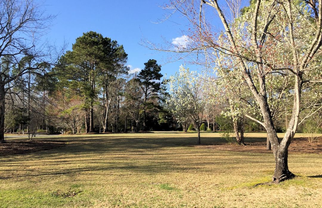 Bayshore Estates Homes for Sale in Wilmington, NC The Cameron Team