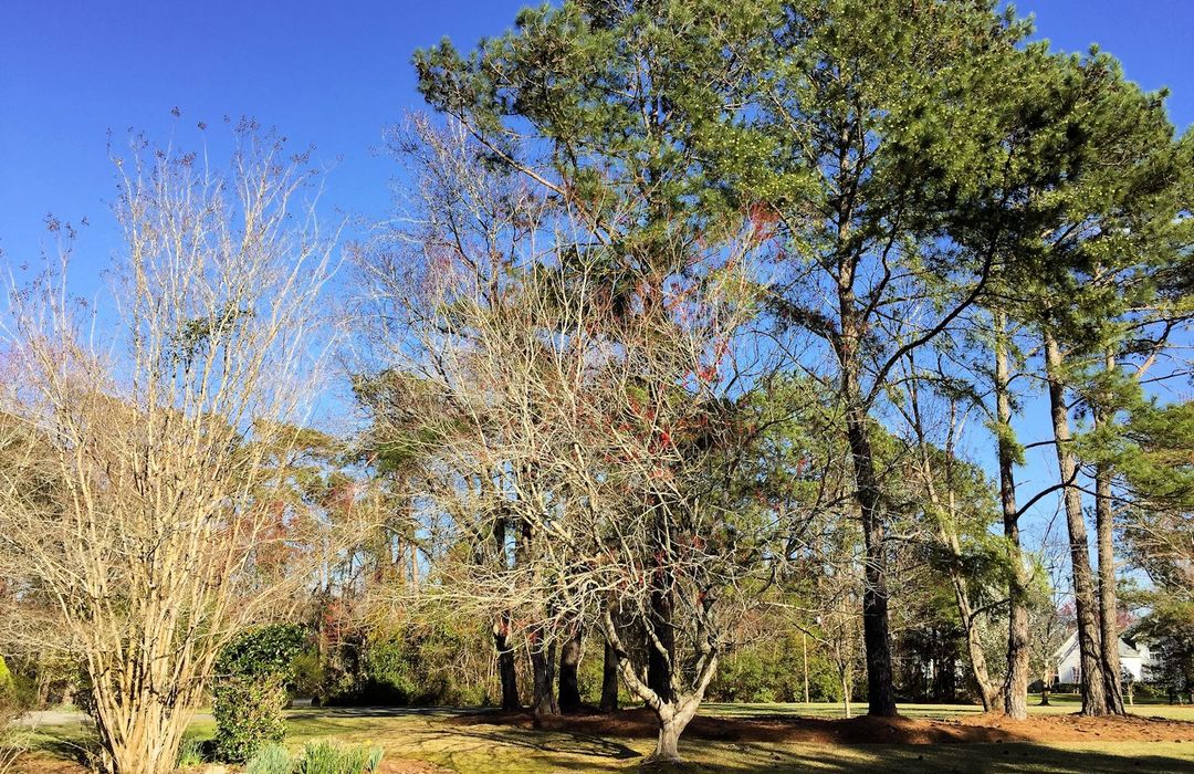 Bayshore Estates Homes for Sale in Wilmington, NC The Cameron Team