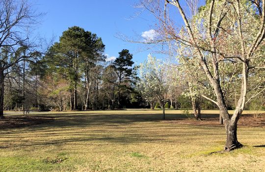 Bayshore Estates - Greenspace