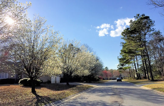 Bayshore Estates - Streetscape