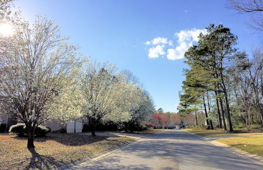 Bayshore Estates - Streetscape