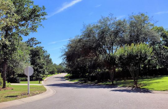 Beau Rivage Plantation - Streetscape