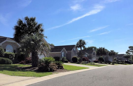 Beau Rivage Plantation - Streetscape