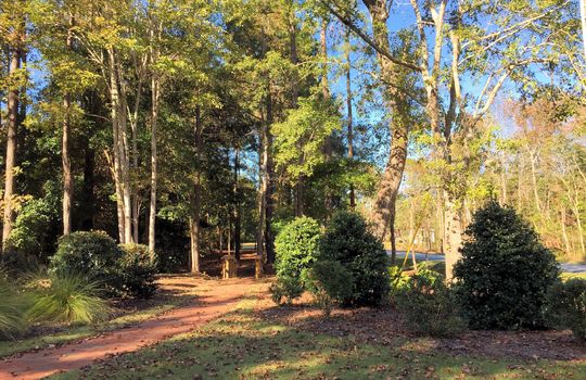 Forest Hills - Bridge