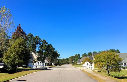 Majestic Oaks - Bridge