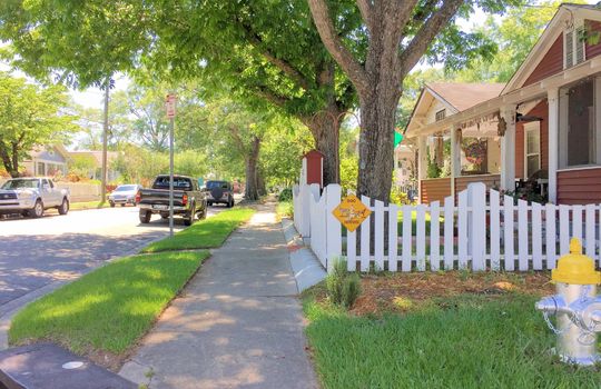 Carolina Place - Streetscape
