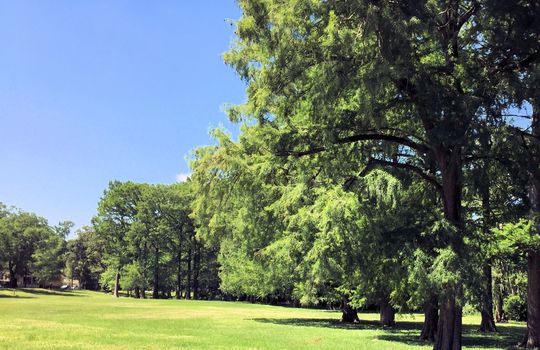 Carolina Place - Wallace Park