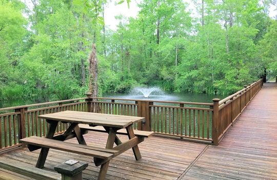 Demarest Landing - Walking Trail and Sitting Area