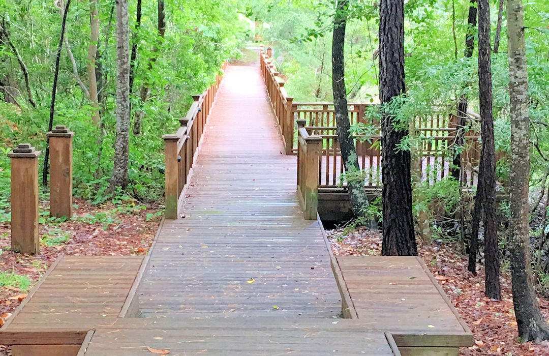 Demarest Landing Homes for Sale in Wilmington, NC The Cameron Team