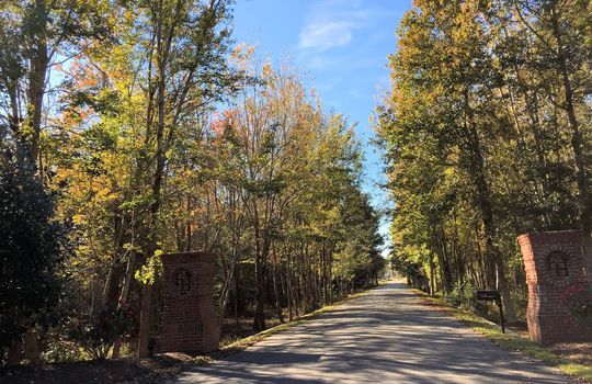 Forest Hills - Entrance Sign