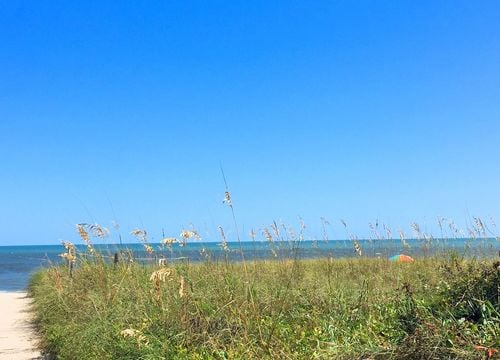 Pelican Watch