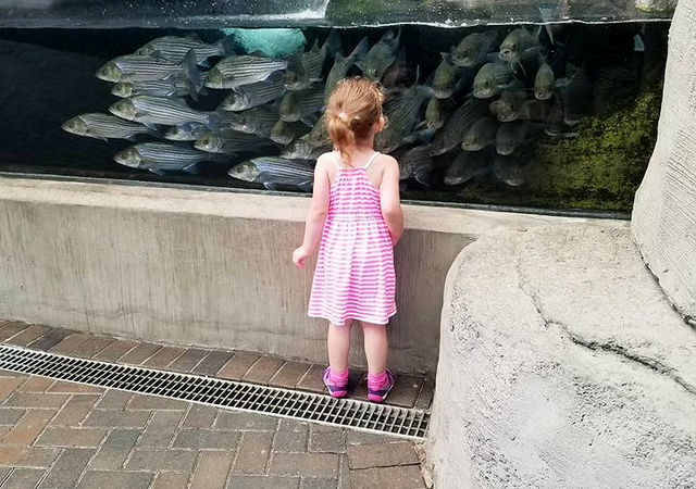 North Carolina Aquarium at Fort Fisher