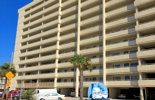 Pelican Watch - Front View