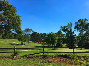 Pine Valley Estates - Golf Course