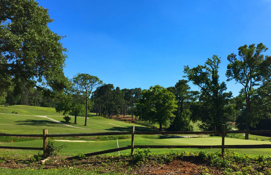 Pine Valley Estates - Golf Course