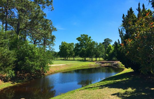 Pine Valley Estates - Golf Course