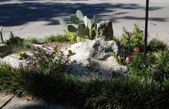 Historic District - Streetscape