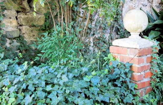 Historic District - Landscaping