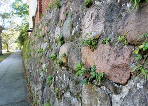 Historic District - Stone Wall
