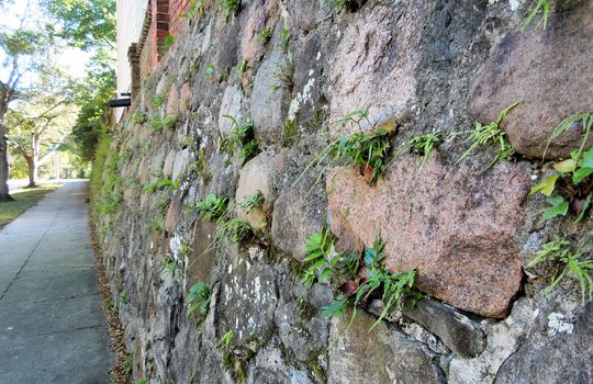 Historic District - Stone Wall